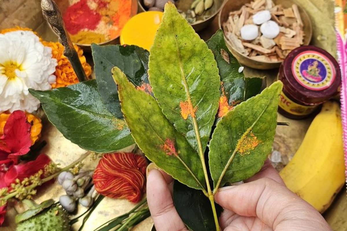 भोलेनाथ को प्रसन्न करने के लिए अर्पित करें ये 7 प्रिय चीजें, मिलेगी विशेष कृपा 1 Lord Shiva Fav Things To Offer Min