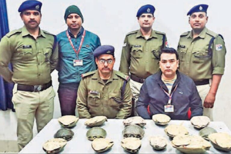 दून एक्सप्रेस से 16 पीस कछुआ बरामद, वन विभाग को सौंपा गया