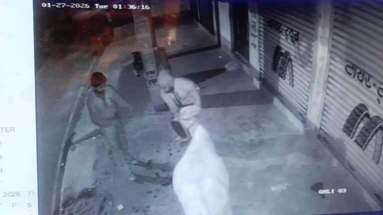Bokaro News : गाय की चोरी, सीसीटीवी में दिखे चोर