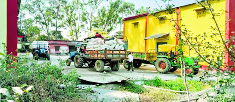 East Singhbhum News : पटमदा लैंपस का गोदाम फुल 25 दिनों से धान की खरीद बंद