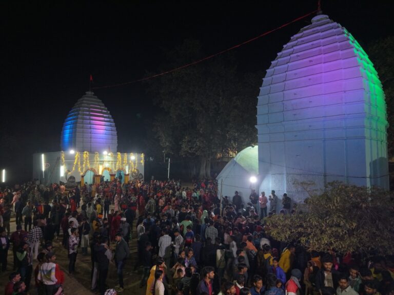 बाबा बूढ़ानाथ मंदिर समिति ने निकाली शिव की भव्य बारात
