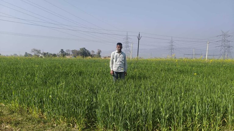 कुकुरझप डैम में घटते जलस्तर से सिंचाई प्रभावित, किसान परेशान