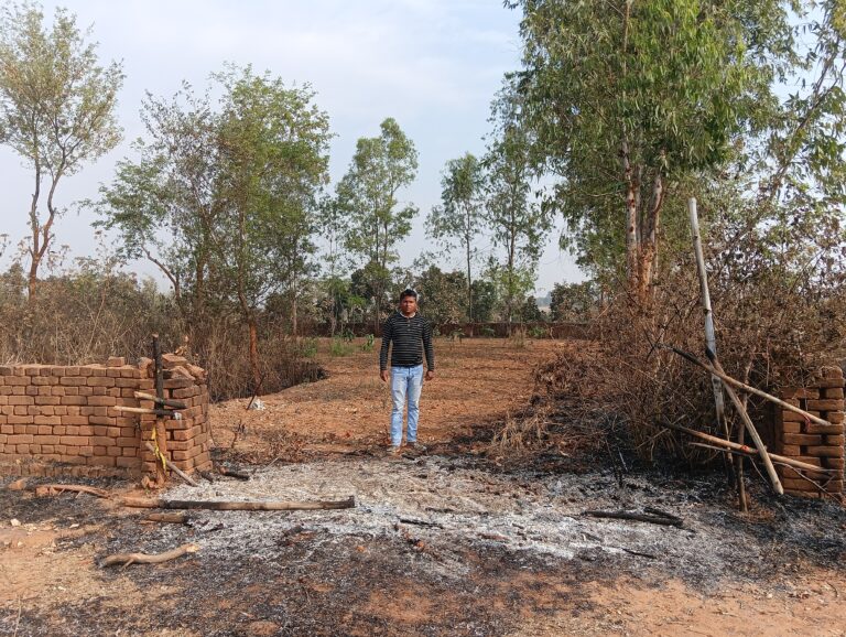 Giridih News :असामाजिक तत्वों ने बागवानी में लगायी आग, पौधे झुलसे
