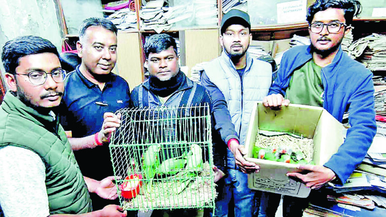 अवैध पक्षी कारोबार का भंडाफोड़, 15 पहाड़ी तोते बरामद