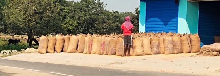 प्रभात पड़ताल: धान खरीद में लक्ष्य प्राप्त करना प्रशासन के लिए बना चुनौती