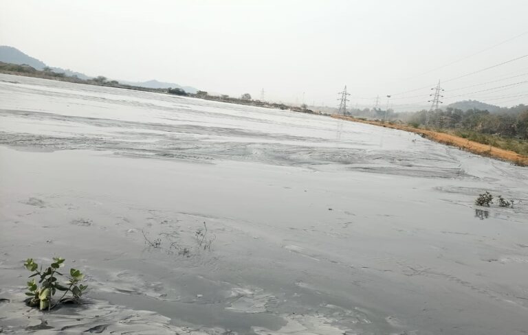 Bokaro News : छाई ढुलाई ठप, सीटीपीएस प्रबंधन की परेशानी बढ़ी