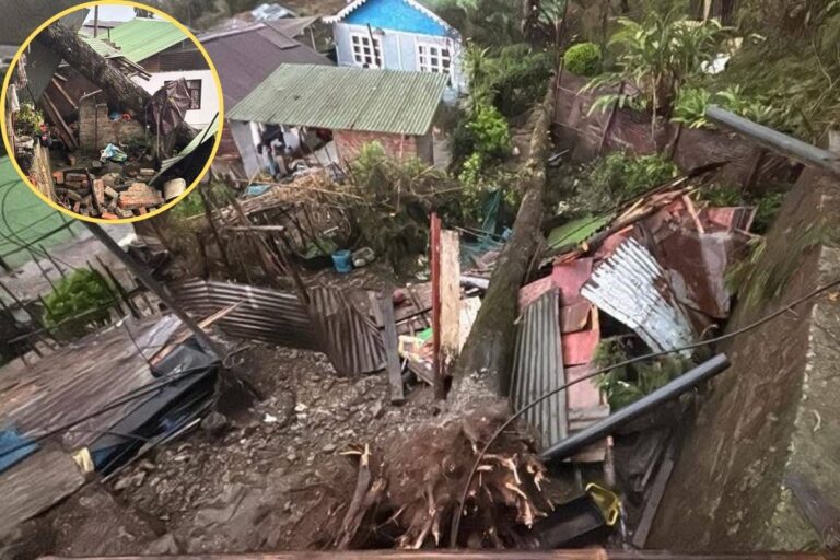 आंधी-तूफान और मूसलाधार बारिश ने मचाई तबाही, सिक्किम में पेड़ गिरने से तीन लोग घायल