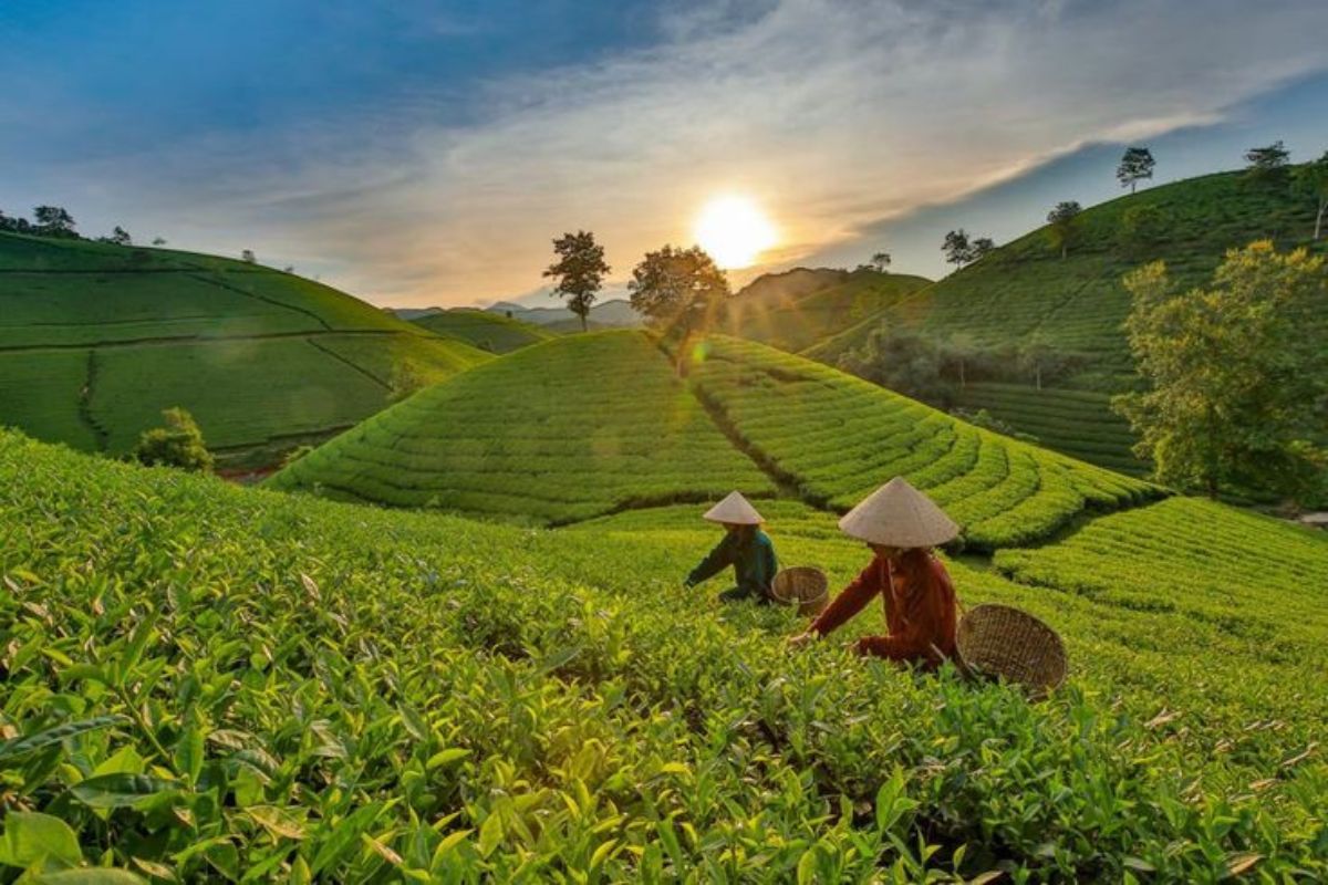 मार्च-अप्रैल में बच्चों के साथ घूमने के लिए बेस्ट हैं ये जगहें 2 Munnar