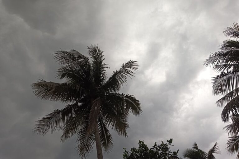 नार्वेस्टर तूफान का तांडव, ओडिशा में 3 लोगों की मौत