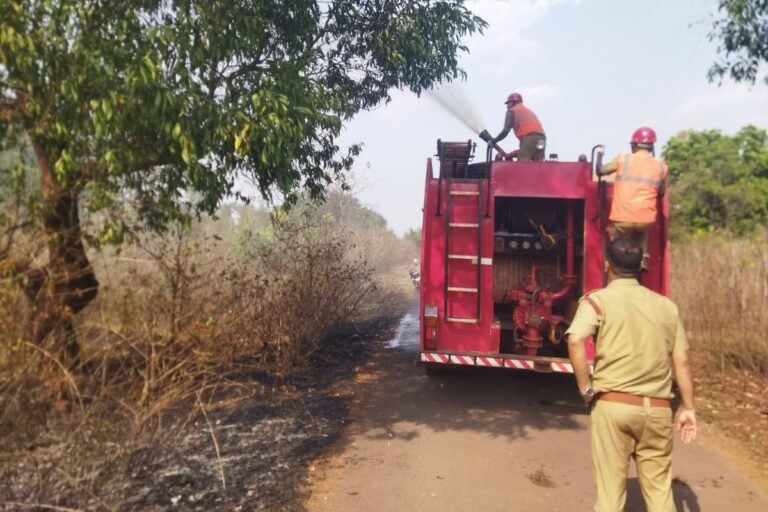 Chaibasa: नोवामुंडी के जंगलों में लगी आग पर समय रहते काबू, बड़ी घटना टली