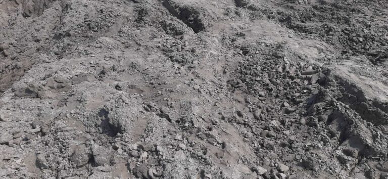 बोरने में अवैध मिट्टी खनन से किसानों की जमीन को हो रहा नुकसान