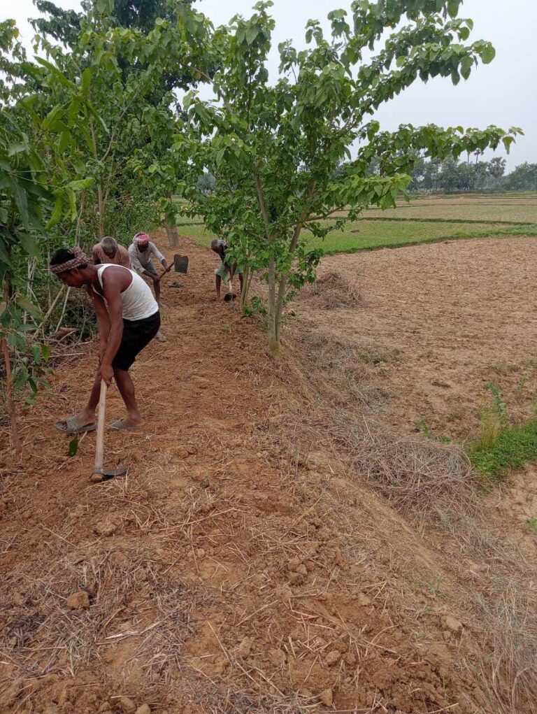 मनरेगा घोटाला. एक ही जगह पर आधा दर्जन योजना दिखा उड़ाए सरकारी रुपये, एडीएम करेंगे जांच