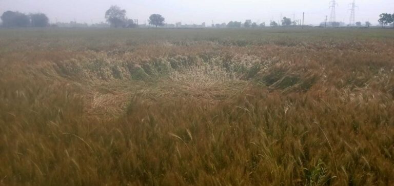 देर रात बदले मौसम ने बढ़ायी किसानों की चिंता, खेतों में बिछी फसलें