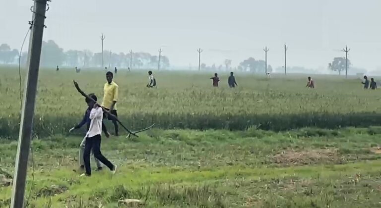भानस गांव में चार लकड़बग्घा दिखने से ग्रामीणों में दहशत, खेतों में जाने से कतरा रहे किसान