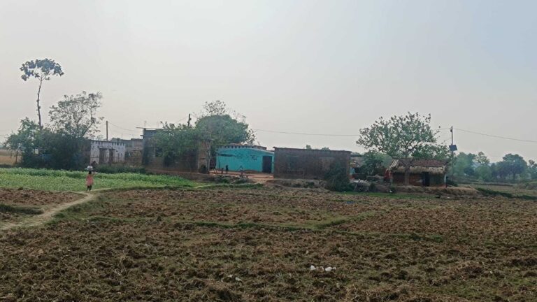 बरहट के गिद्दा मुसहरी में एक भी बच्चा मैट्रिक पास नहीं