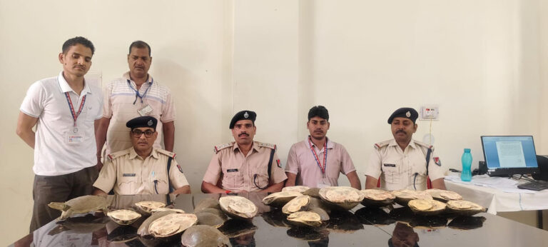 दून एक्सप्रेस से 28 जीवित कछुए जब्त