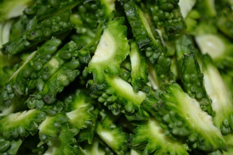 करेले से बनाएं मजेदार डिशेज, इन 4 रेसिपी आइडियाज को करें ट्राई  