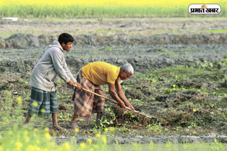KCC का लोन नहीं भरा तो क्या बिक जाएगी जमीन ? जानें पूरा सच