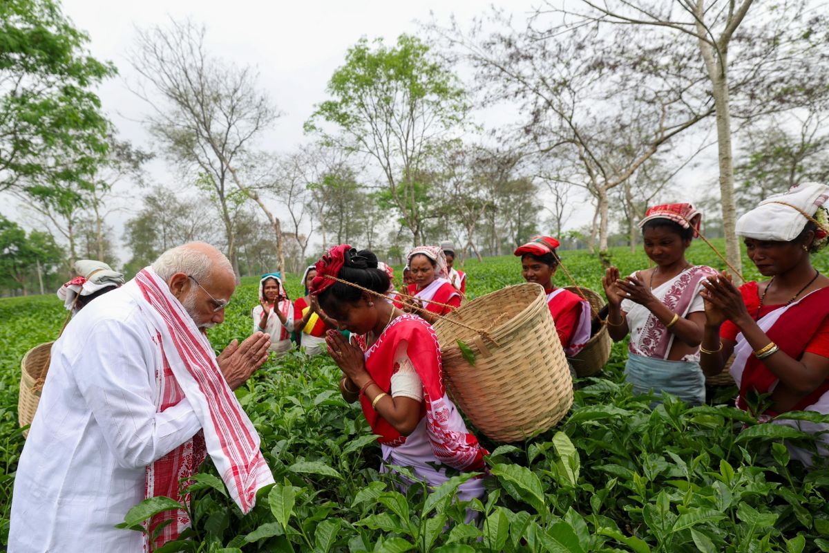 चुनाव प्रचार से पहले चाय बागान पहुंचे पीएम मोदी, महिलाओं के साथ तोड़ीं पत्तियां; तस्वीरें वायरल 4 Pm-Modi-Visit-Tea-Garden