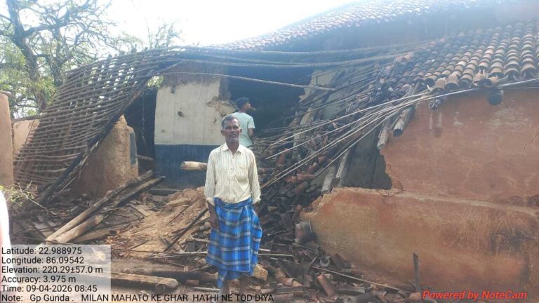 Seraikela Kharsawan News : डिटार-वनघर में झुंड से बिछड़े हाथी ने चार घरों को तोड़ा