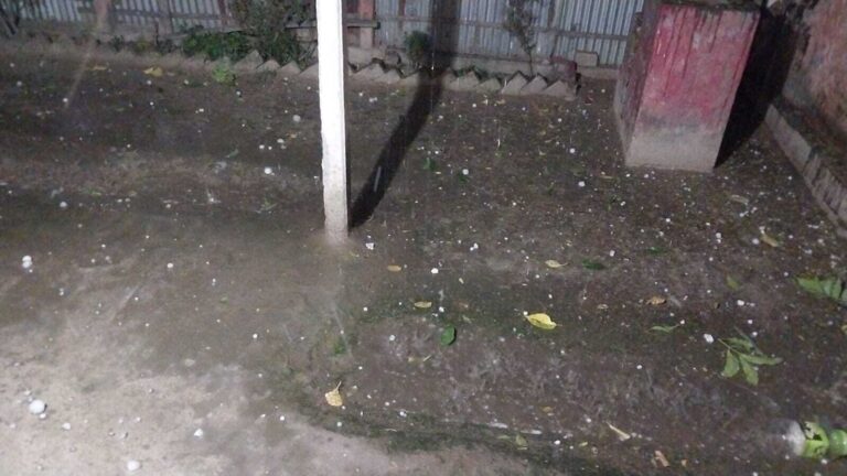 Supaul.सरायगढ़-भपटियाही व राघोपुर में बारिश संग ओलावृष्टि