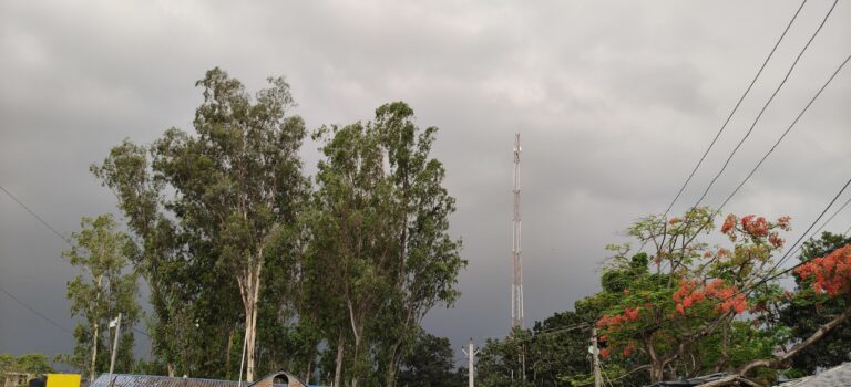 झमाझम बारिश से लोगों को गर्मी से मिली राहत