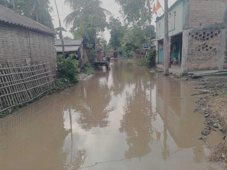 SUPAUL  प्राथमिक विद्यालय के मार्ग पर कई महीनों से जलजमाव