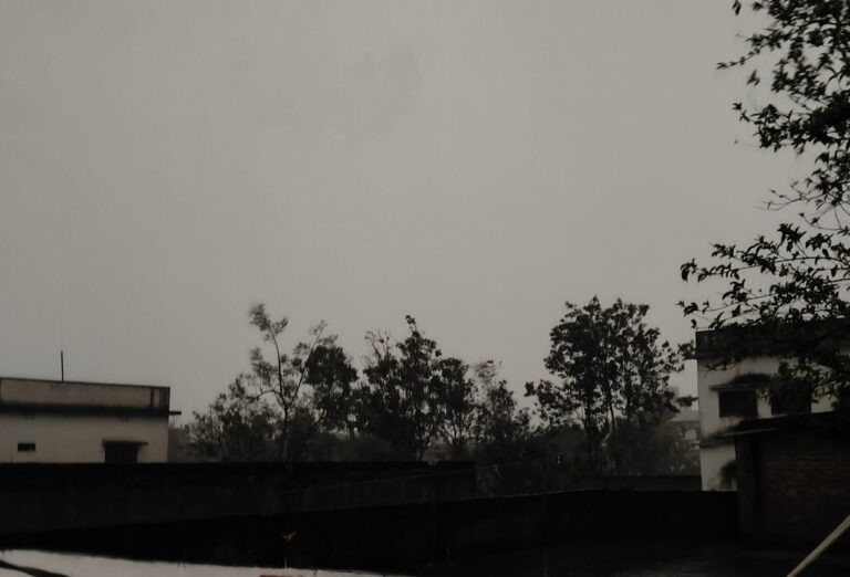 मौसम ने ली करवट, तेज हवा के साथ हुई बारिश, गर्मी से राहत
