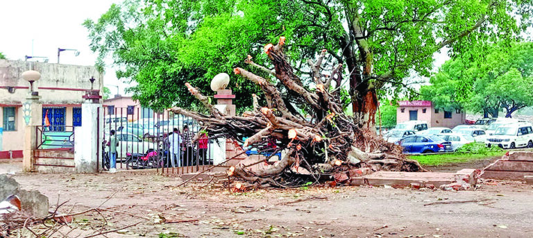 जामुड़िया में आंधी-पानी से जनजीवन अस्त-व्यस्त, कहीं गिरे पड़े तो कहीं खंभे