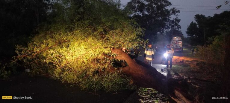 बारिश व आंधी से पेड़ गिरे और घर के छप्पर उड़े
