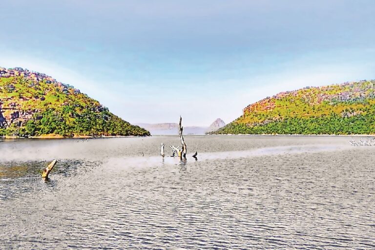 बिहार में इको टूरिज्म को बढ़ावा देने के लिए सरकार का मेगा प्लान तैयार, एक्शन मोड में विभाग