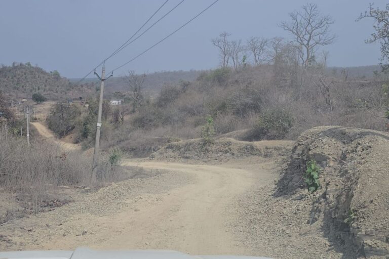 चतरा में सिस्टम फेल, जज्बा पास: बेटी की शादी बचाने को ग्रामीणों ने खुद बनाई 2 दिन में सड़क