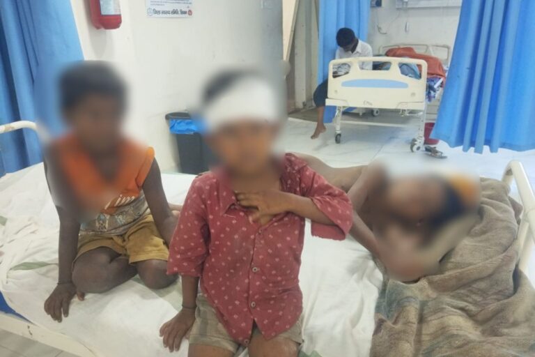 सीवान में बंदरों को आम खिलाना पड़ा भारी, दीवार गिरने से एक ही परिवार के तीन बच्चे घायल…