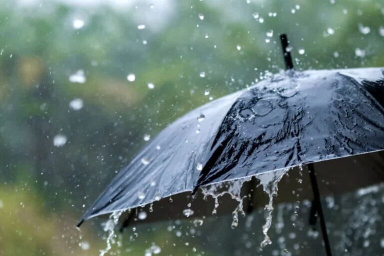 Bettiah Weather Update: 12 मई को मौसम दिखाएगा दो अलग-अलग रूप, धूप-उमस के बीच हल्की बारिश के आसार