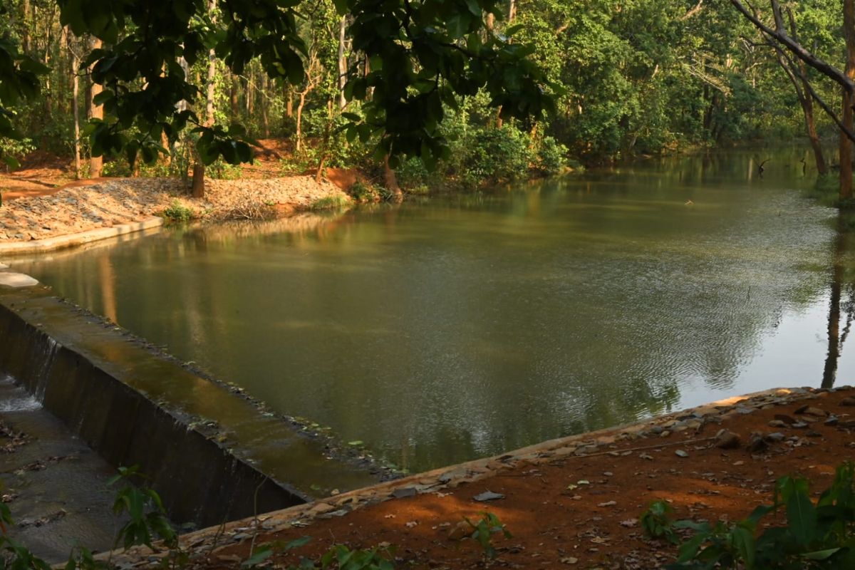 देखें झारखंड के सारंडा जंगल की खूबसूरत झलक, दिल छू लेगा ये नजारा 4 Saranda Jungle 1 1