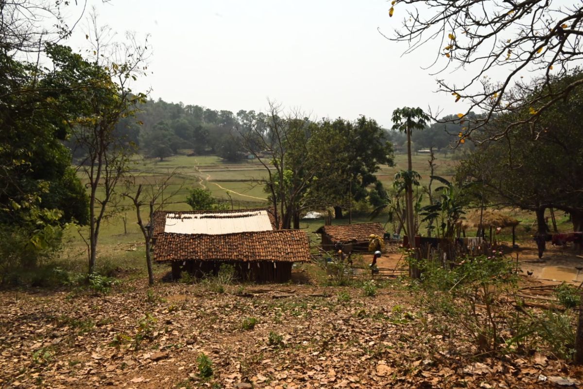 Saranda Jungle 4