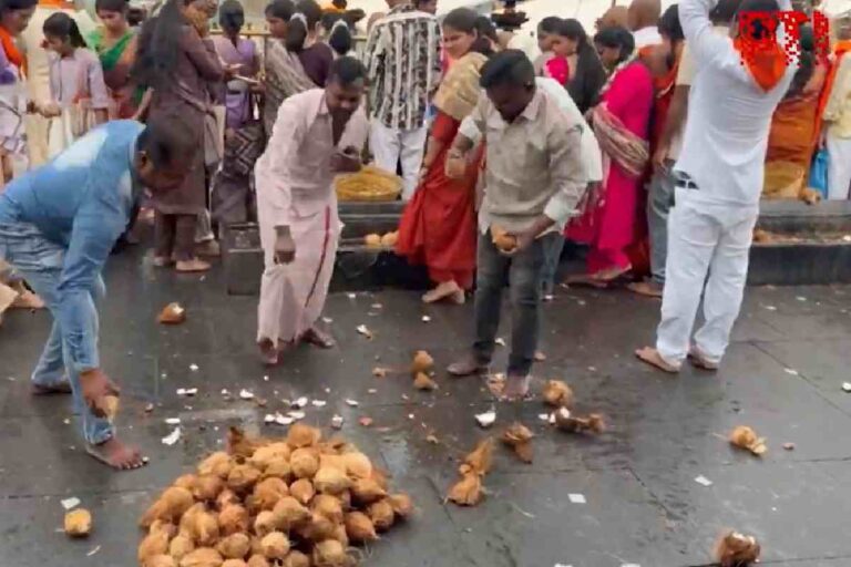 Video : 116 नारियल फोड़कर टीवीके प्रमुख विजय की जीत का जश्न, देखें खास सेलिब्रेशन का वीडियो