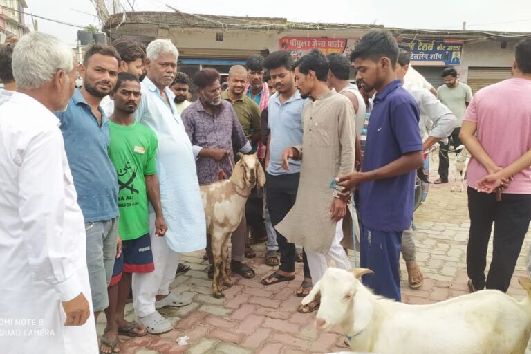 फारबिसगंज के हाट-बाजारों में बकरीद की रौनक: 12 से 60 हजार रुपये तक बिक रहे बकरे, फैंसी मार्केट में ‘बट्टी’ के नाम पर अवैध वसूली का आरोप