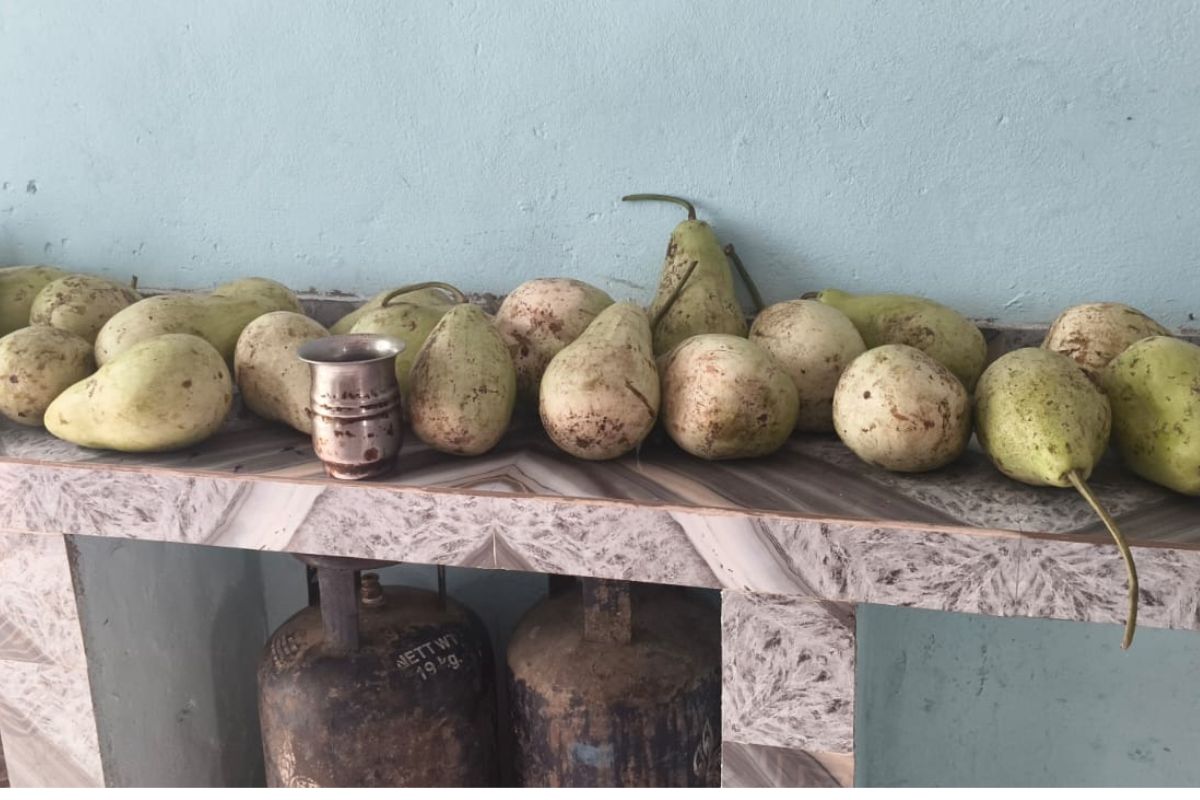 Motihari News: कस्तूरबा विद्यालय में सुरक्षा के साथ खिलवाड़, एक बीमार गार्ड के भरोसे 41 छात्राएं 2 Untitled Design 21