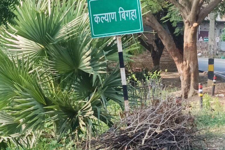 कल पैतृक गांव पहुंचेंगे पूर्व सीएम नीतीश कुमार, प्रशासन सतर्क