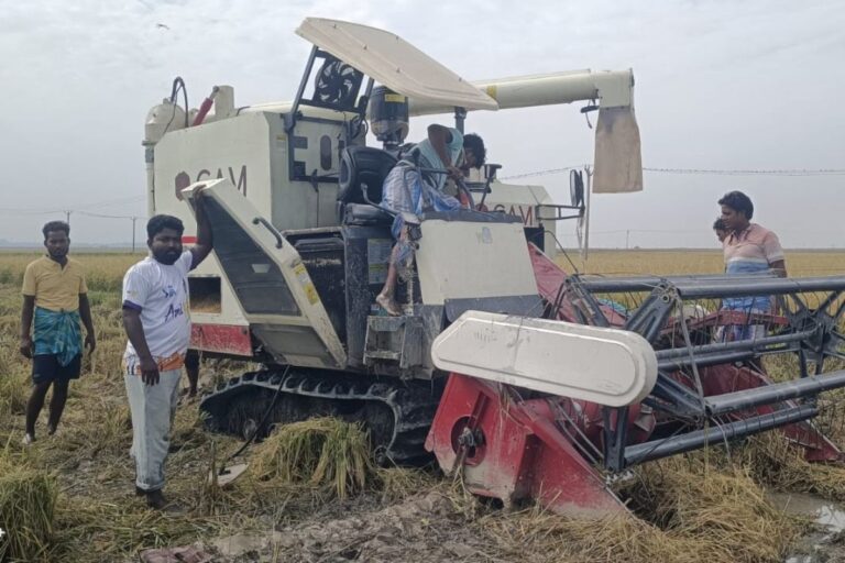 किसानों पर दोहरी मार: बेमौसम बारिश से धान की फसल बर्बाद, रात में असामाजिक तत्वों ने कटाई मशीन को किया क्षतिग्रस्त