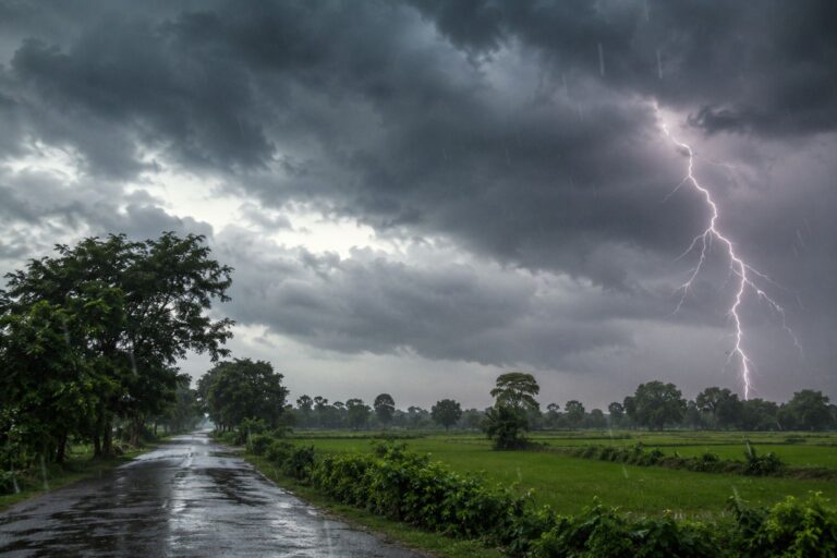क्षेत्र में आंधी-बारिश से आम-लीची की फसल बर्बाद, किसान चिंतित