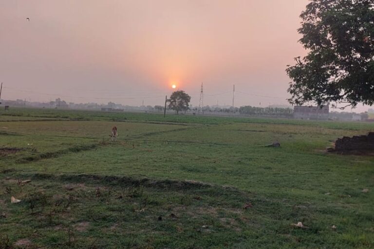 कटिहार में गर्मी के बीच मौसम का यू-टर्न: आज 36 डिग्री तक जाएगा पारा, रविवार को तपेगा शहर; सोमवार से आंधी-पानी के साथ मिलेगी बड़ी राहत