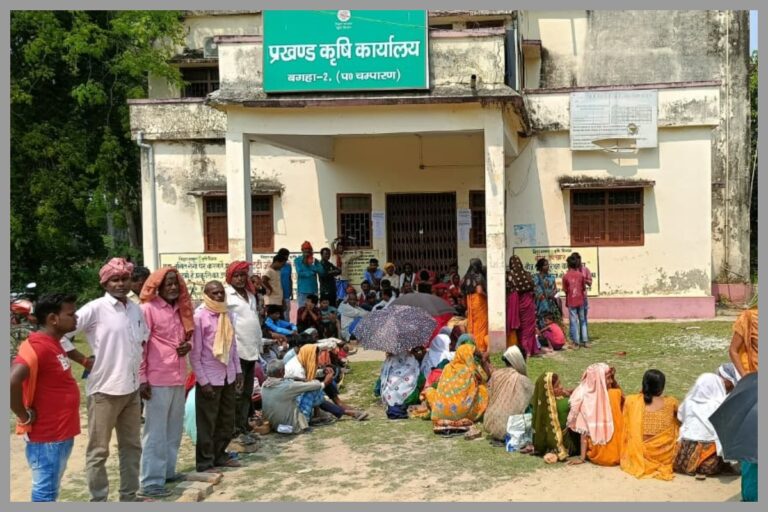 Bettiah: बगहा में यूरिया की किल्लत से परेशान किसान, हेलमेट और पत्थर से बनाई कतार