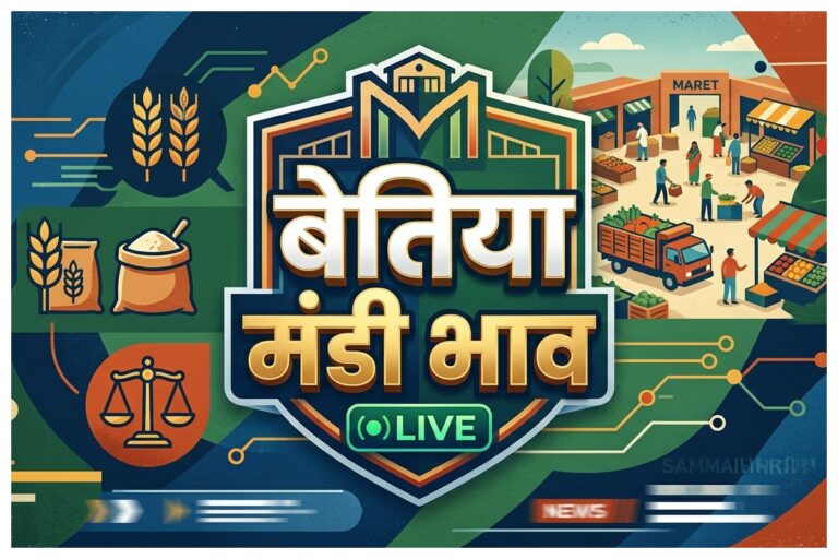 Bettiah Mandi Bhav: बेतिया में भिंडी 12 और शिमला मिर्च 25 रुपये किलो, जानें आलू-प्याज के थोक और खुदरा दाम
