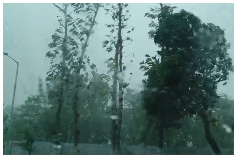 Bettiah Weather: दिन में छाया अंधेरा, आंधी-पानी से भारी तबाही