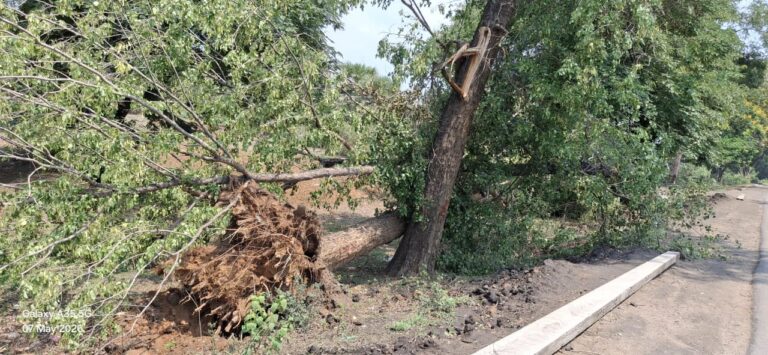 आंधी और बारिश से तपाती गर्मी से मिली राहत, मौसम हुआ सुहाना