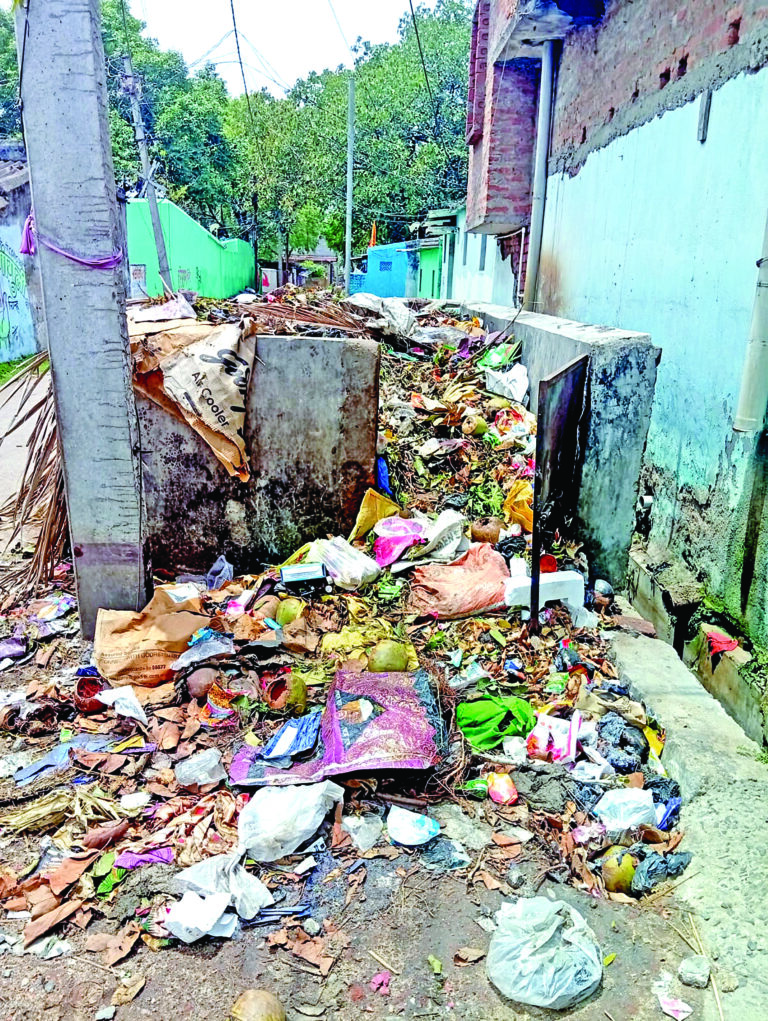 निघा के गली-कूचों में जंजाल से नारकीय हाल, वार्ड 10 में गंदगी का अंबार