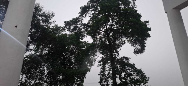 PURNIA सावधान, पूर्णिया शाम सात बजे से पहले आंधी व बारिश के आसार, ऑरेंज अलर्ट