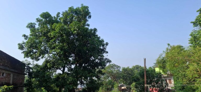 KATIHAR : कटिहार में सुहाना मौसम बना रहेगा, गर्मी से लोगों को मिलेगी राहत